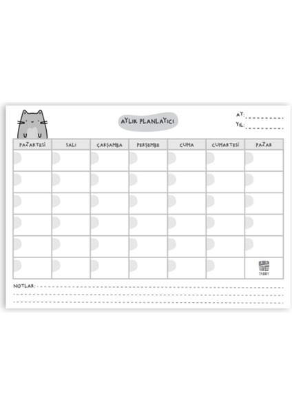 Sevimli Kedi Aylık Planlayıcı 12 Adet Gri