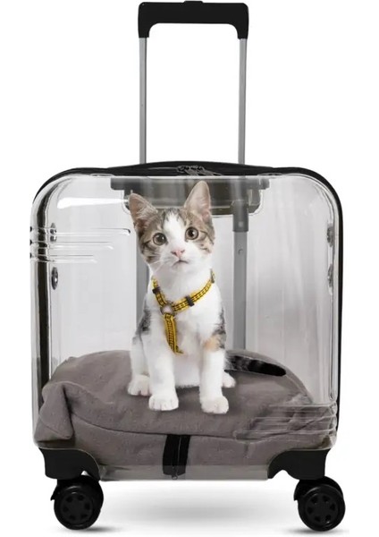 Keo-Plus Keo 10354 Şeffaf Renk Pet Kedi ve Köpek Siyah Aksesuar