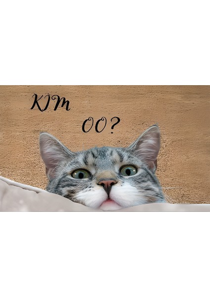 Dekoratif , Eğlenceli Dijital Baskı Kapı Önü Paspası - Paspas