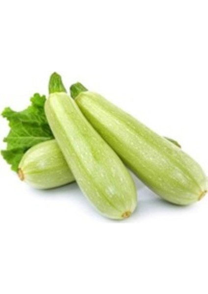 Kabak Tohumu Sakız Kabak Tohumu 15 Adet Tohum