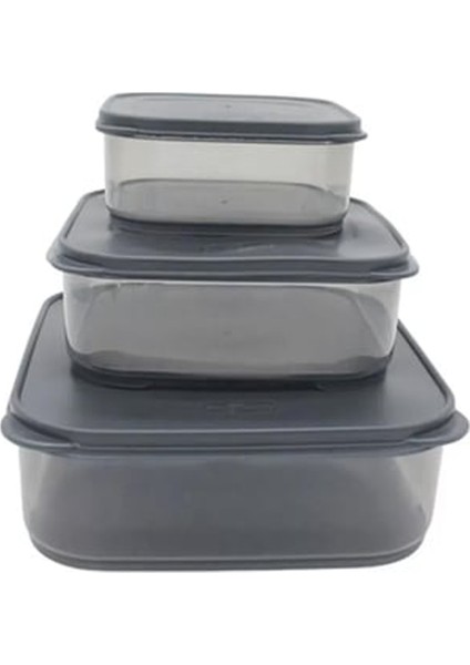 3'lü Yatay Füme Renk Saklama Kabı ROYALEKS-VİV-OX258