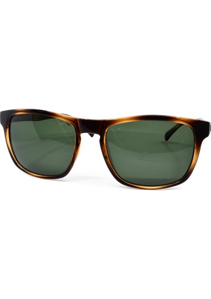 310 C4 55 fiyatları