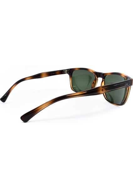 310 C4 55 fırsatları