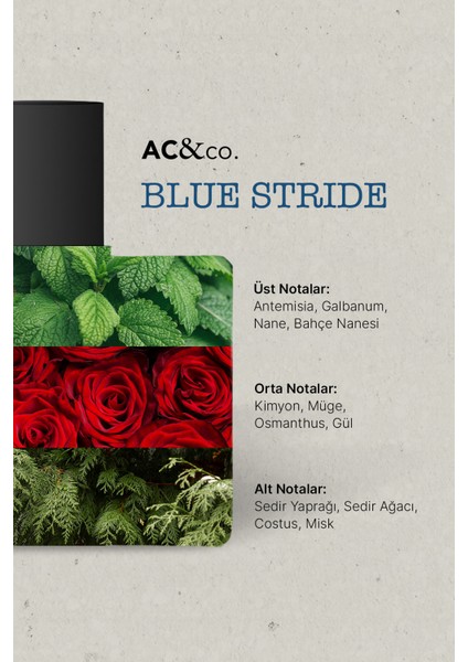50 ml Edp Blue Stride Parfüm fiyatları