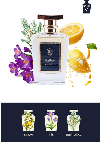 Masculine Notes 50 ml Erkek Parfümü fiyatları
