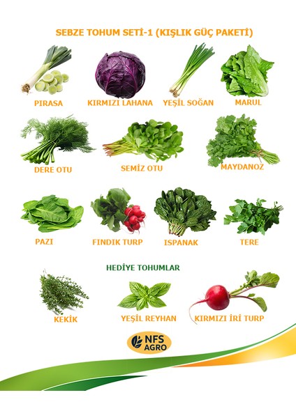 agro sebze tohumu - karışık sebze yetiştirme paketi - 2