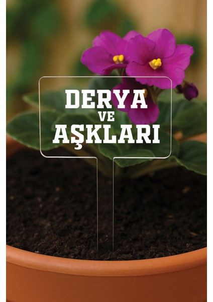 Kişiye Özel Isim Kelime Yazılı Uv Baskılı Şeffaf Dekoratif Pleksi Saksı Süsü - Tasarım 2