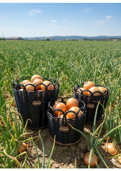 Raddancore Üçlü Soğanlık Seti/soğan Sepeti fırsatları