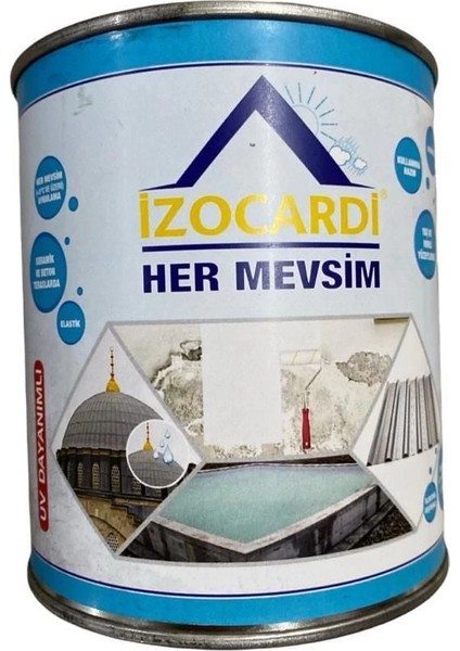 Bfs Izocardi Her Mevsim Şeffaf Su Yalıtım Sıvısı 1 kg
