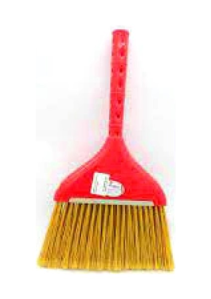 Büyük Süpürge (5324)