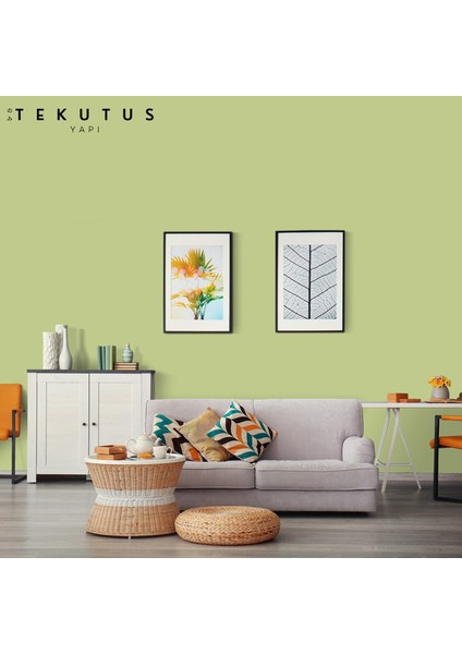 Momento Silan Silikonlu Iç Cephe Boyası 15 L Fıstık modelleri