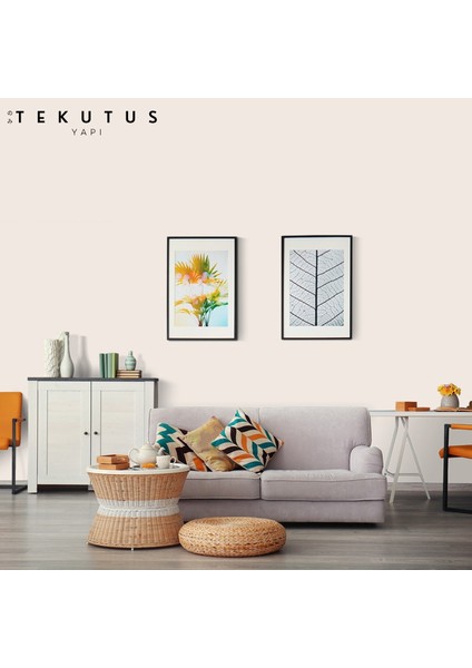 Momento Silan Silikonlu Iç Cephe Boyası 15 L Hasır 40 modelleri