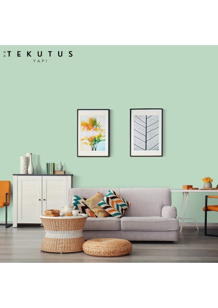 Momento Silan Silikonlu Iç Cephe Boyası 15 L Fesleğen / S-832 modelleri