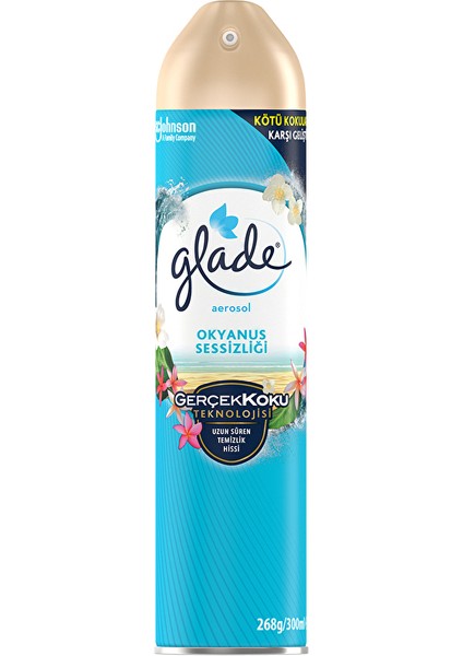 2 Adet Oda Kokusu Aerosol 300 ml Okyanus Sessizliği