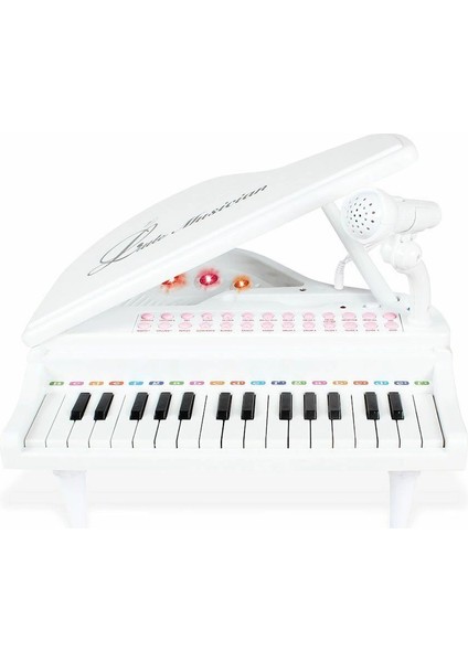 BAO-1504B 31 Tuşlu Mini Piano Mp3