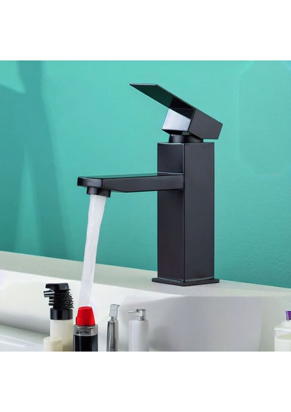 Siyah Lavabo Bataryası ve Siyah Lavabo 602B