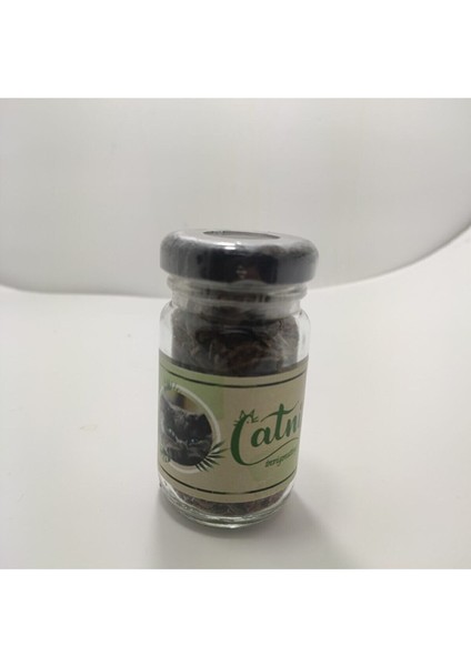 Catnip Doğal Kedi Otu - Kedi Nanesi fırsatları