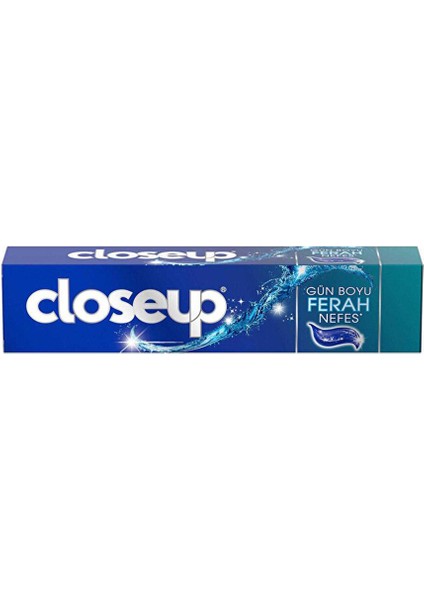 2 Adet Close Up Diş Macunu Icy Cool 50 ml fiyatları