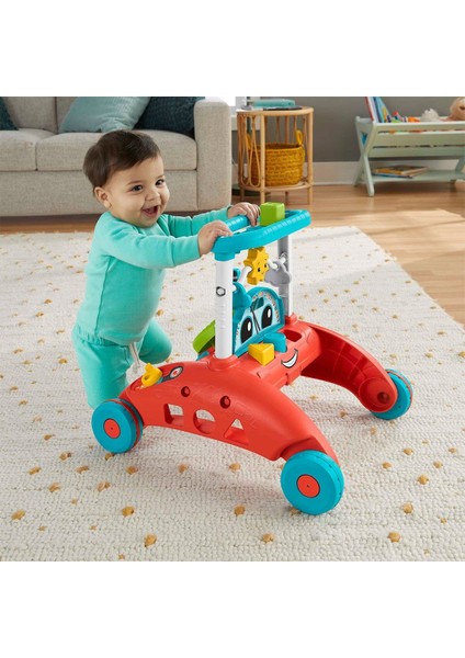 HJP48 Fisher-Price Ilk Arabam Çift Yönlü Yürüteç