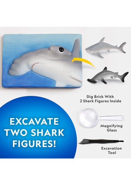 bulurum nat07002 national geographic köpek balığı bulma kiti trhamshdıg +6 yaş fiyatları