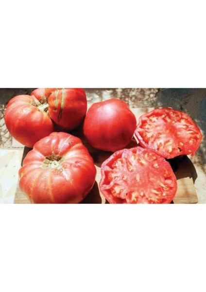 Ankara Ayaş Domates Tohumu Ayaş Domatesi Tohumu 15 Adet Tohum fırsatları