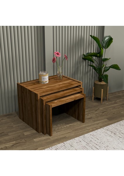 Vera 3'lü Zigon Sehpa , Servis Sehpası Sandık (Ceviz)