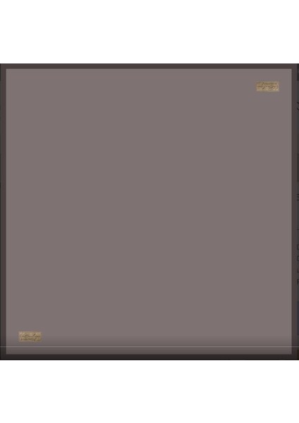 Güz Serinliği Düz Eşarp 29