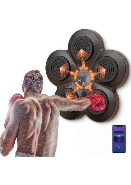 Müzikli Boks Makinesi fiyatları