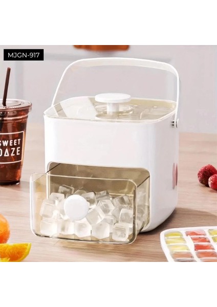 Buğz Buz Kalıp ve Saklama Kutusu