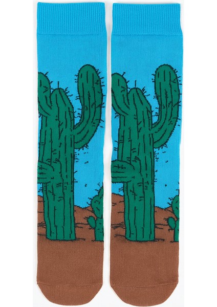 Kaktüs Renkli Çorap