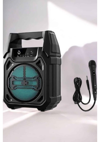 Kablosuz 6.5 Inç Tws Bluetooth Hoparlör - M663R524-K65663 modelleri