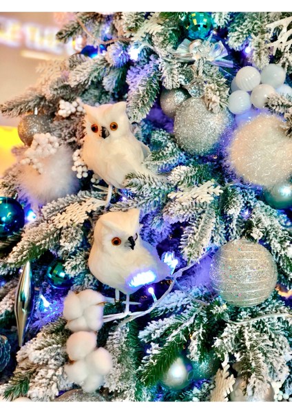 Dekoratif Baykuş fiyatları