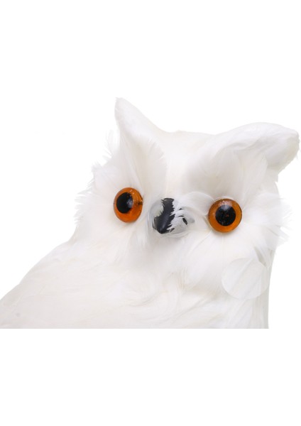 Dekoratif Baykuş fırsatları