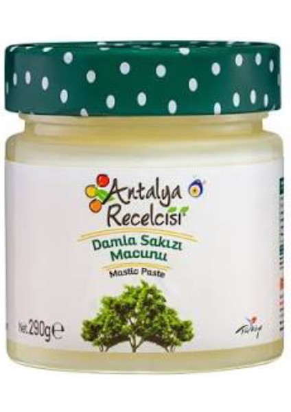 Damla Sakızı Macunu 290GR. (Saf Aroma)
