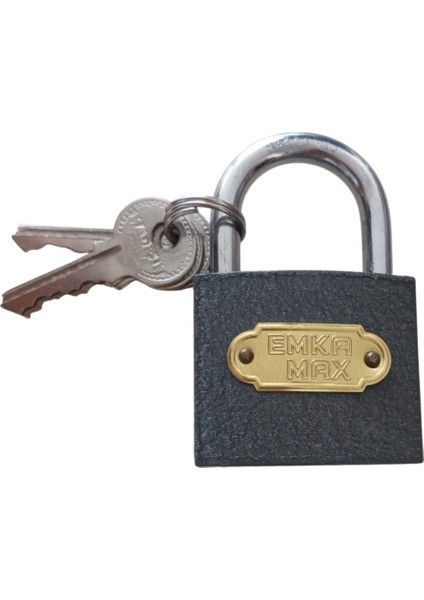 Gri Asma Kilit 50 mm – Ev, Depo ve Bahçe Için Güvenli Seçim