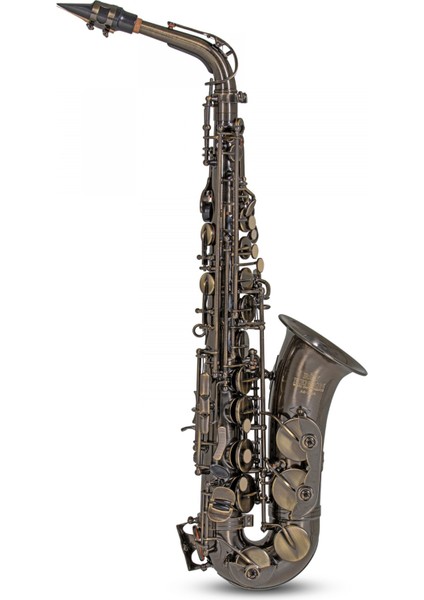 Roy Benson AS-202A Alto Saksafon