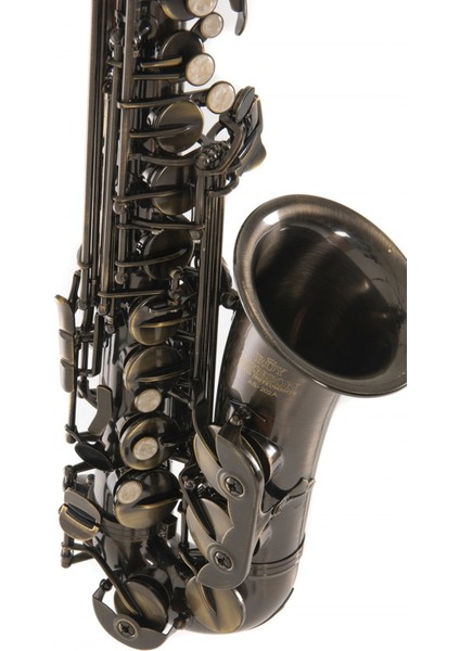 Roy Benson AS-202A Alto Saksafon modelleri