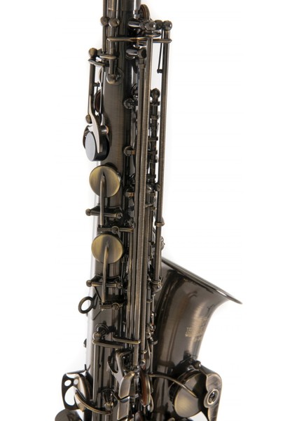 Roy Benson AS-202A Alto Saksafon indirimleri