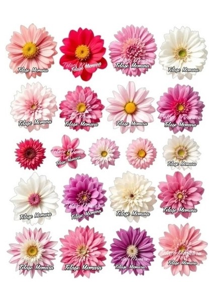 Yenilebilir Çiçek Pasta Süsü - Yenilebilir Pasta Süsü - Çiçek Baskısı - Model 10