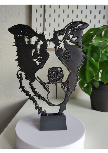 "bala" Border Collie Wallart (Sadece Plastik Aparattır!!!) 3D modelleri