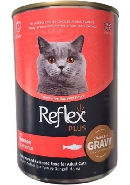 Plus Sos Içinde Et Parçacıklı Somonlu Yetişkin Konserve Kedi Maması