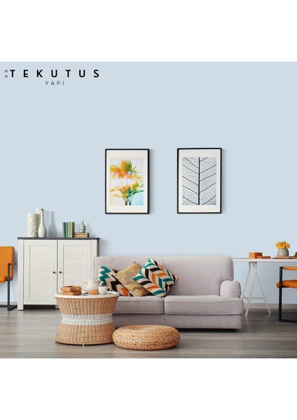 Momento Silan Silikonlu Iç Cephe Boyası 15 L Afrika Menekşesi modelleri