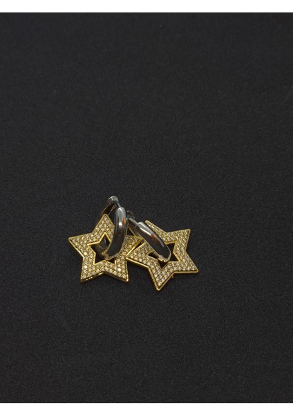 Zirkon Taşlı Küpe fiyatları