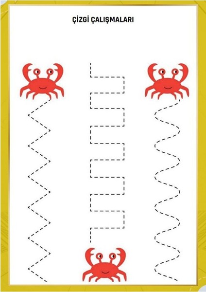 Okul Öncesi Süper Çizgi Çalışmaları Seti (Yaz-Sil Çizgi Çalışmaları Kitabı Hediye) fiyatları