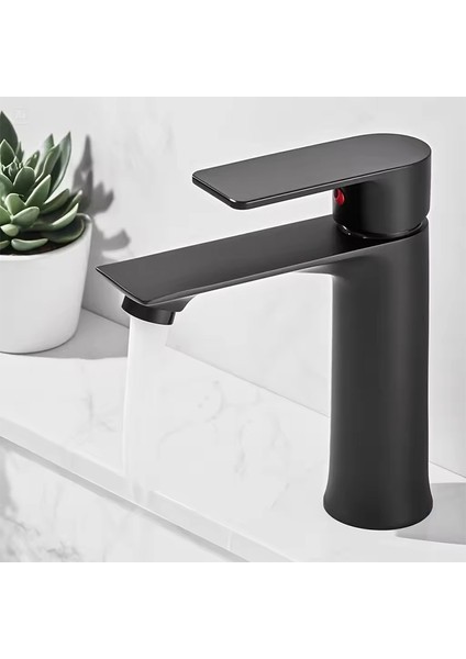 Siyah Lavabo Bataryası - 600 -By