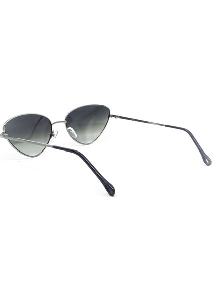 9006 C1 51 modelleri