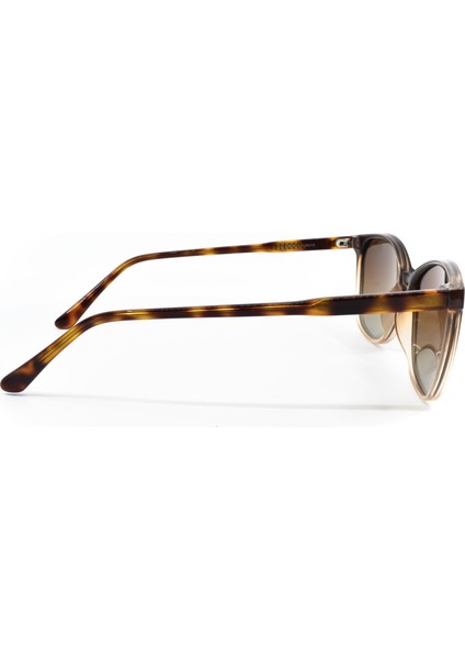 504 C2 51 fiyatları