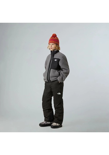 B Yumıorı Full Zıp Jacket Çocuk Polar Ceket NF0A8AZGDDI1 fiyatları