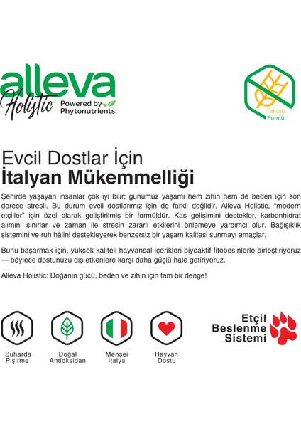 Holistik Kuzulu & Geyikli Tahılsız Küçük Irk Yetişkin Köpek Maması 12 Kg modelleri