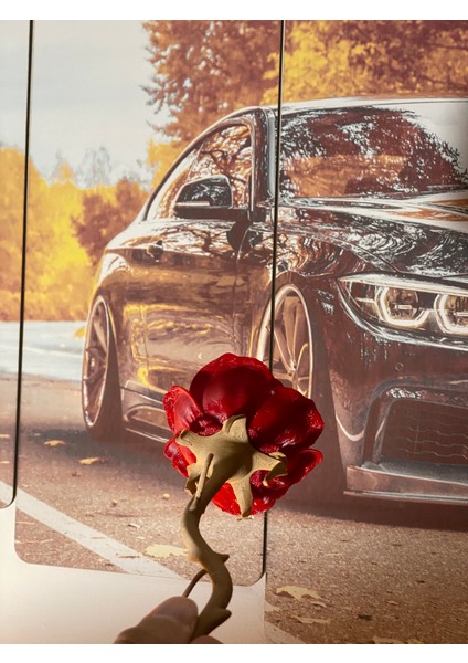 3D Baskı Dekoratif Gül fiyatları